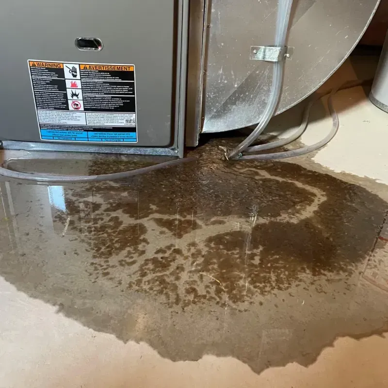 Appliance Leak Cleanup in DeKalb County, IN